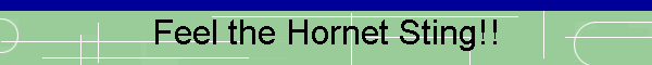 Feel the Hornet Sting!!